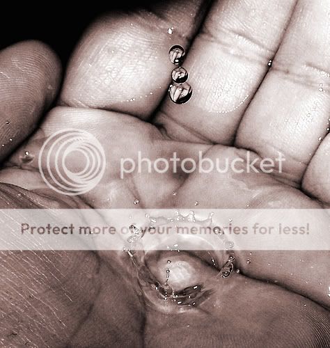 photography Pictures, Images and Photos