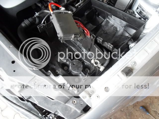 SDC11559.jpg