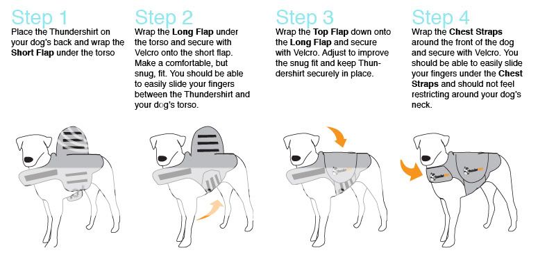 Dog,Anxiety,separation,anxiety,4th,of,July,fire,works,barking,bark,stop,digging,destroying,chewing