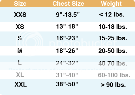 Thunder,Thunder,Shirt,Sizing,Chart,BFF,Soultions,to,Anxiety,Line,ranging,the,Aromatherapy,Music,Supplements,fireworks,four,of july,4th,4,th