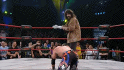 Mandible Claw Pictures, Images and Photos