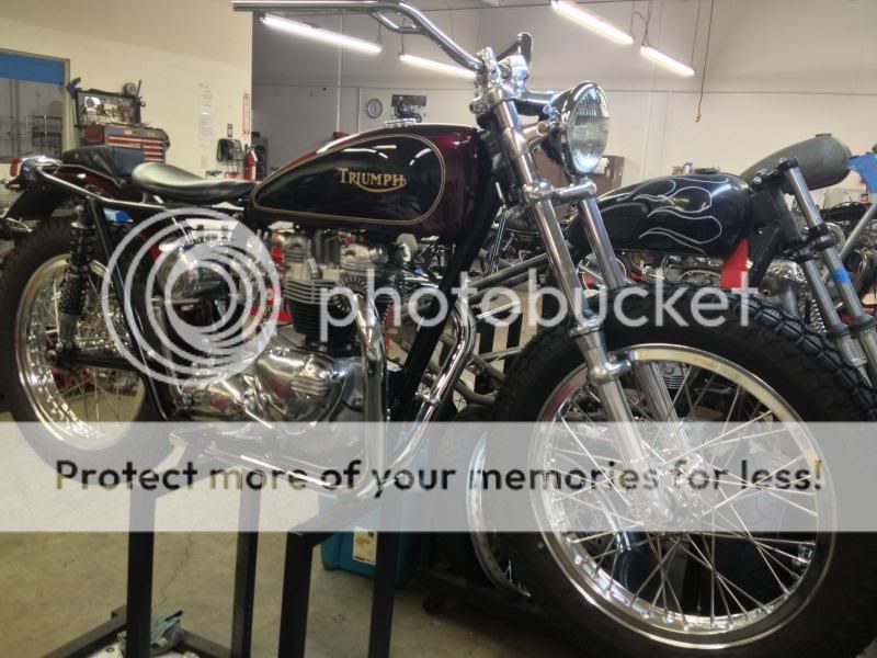 A custom Swingarm Triumph...the new "Bobber" The Jockey Journal Board