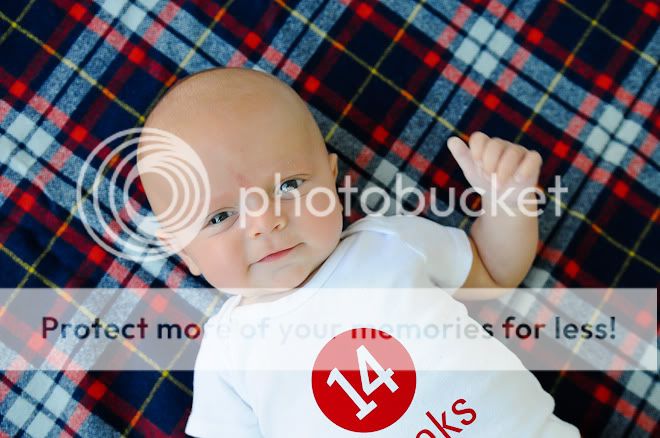 14 Weeks-