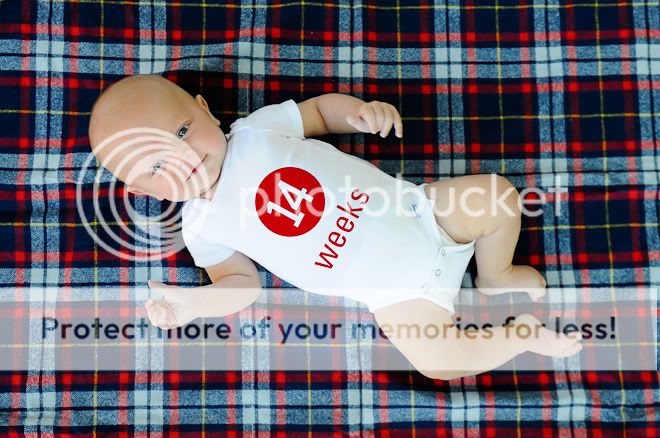 14 Weeks--2