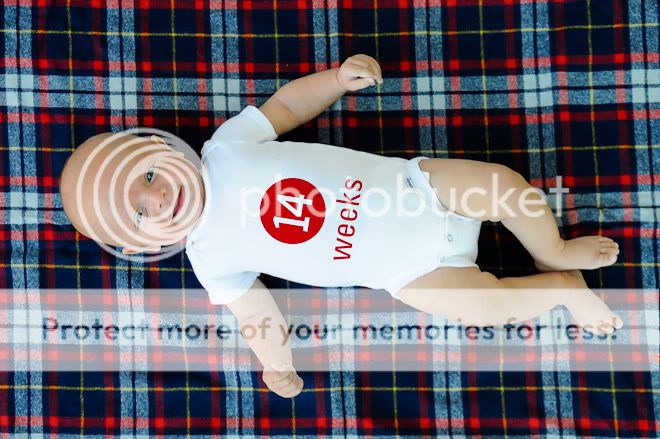 14 Weeks-
