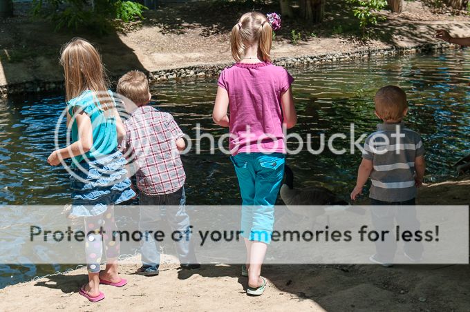 Life with Fingerprints photo 20130614-DSC_2247.jpg