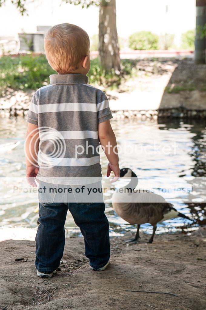 Life with Fingerprints photo 20130614-DSC_2249.jpg