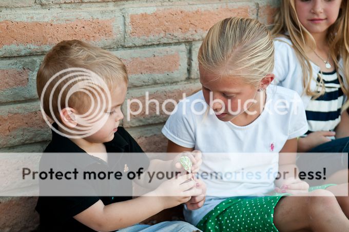  photo 20130920-DSC_4561.jpg