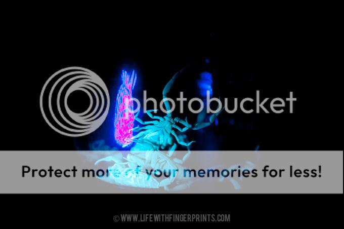 Life with Fingerprints: Spring break in Arizona. Scorpion Hunting, Riverview Park, Enchanted Island, Swimming Pools, Nordstrom Last Chance, Spring Training Baseball