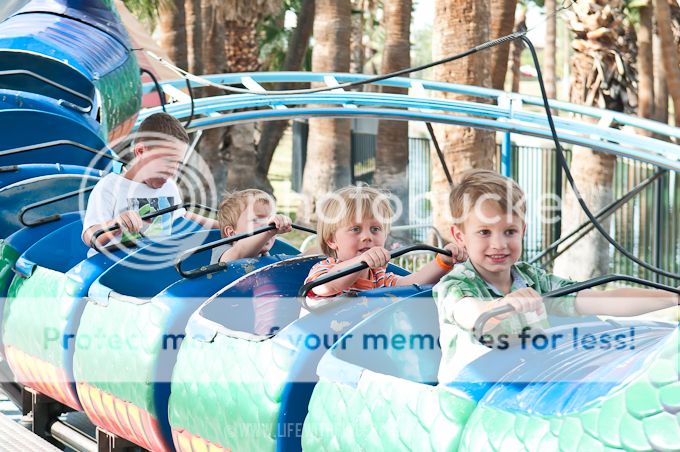 Life with Fingerprints: Spring break in Arizona. Scorpion Hunting, Riverview Park, Enchanted Island, Swimming Pools, Nordstrom Last Chance, Spring Training Baseball