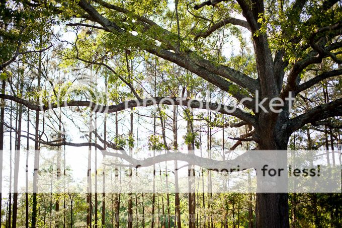 Life with Fingerprints: Wake Forest, North Carolina wedding weekend