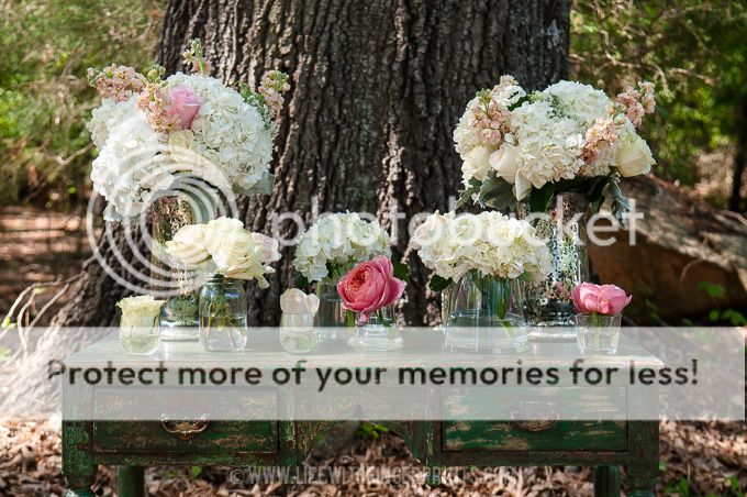 Life with Fingerprints: Wake Forest, North Carolina wedding weekend