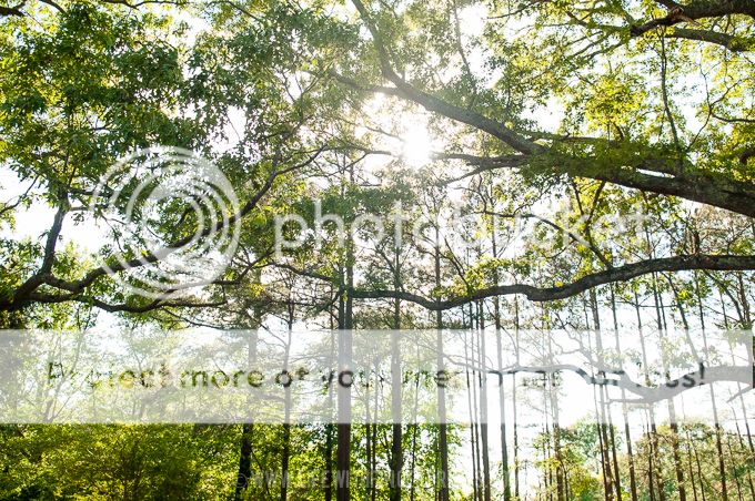 Life with Fingerprints: Wake Forest, North Carolina wedding weekend