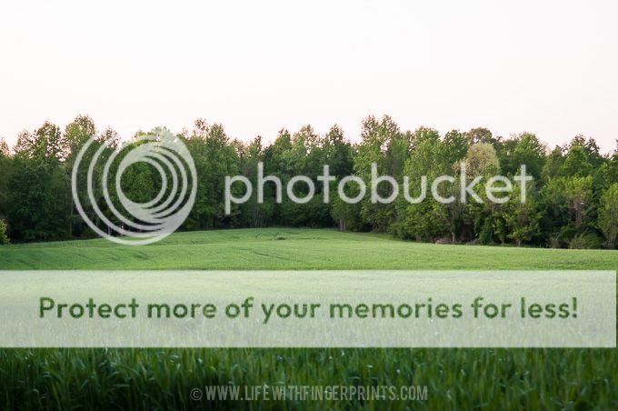 Life with Fingerprints: Wake Forest, North Carolina wedding weekend