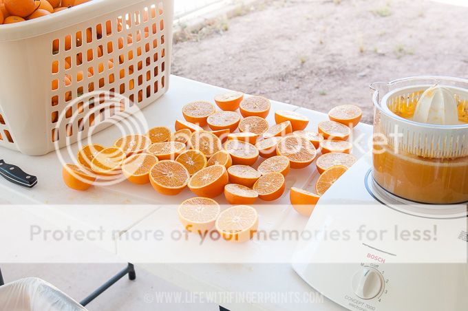 Life with Fingerprints: Freezing orange juice and strawberries for orange julius and smoothies