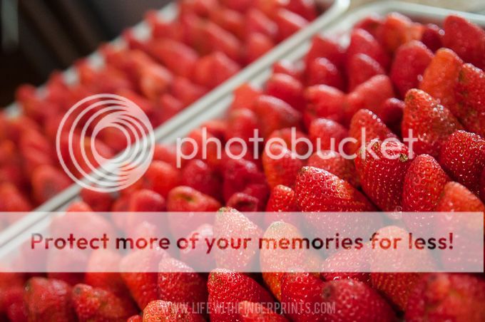 Life with Fingerprints: Freezing orange juice and strawberries for orange julius and smoothies