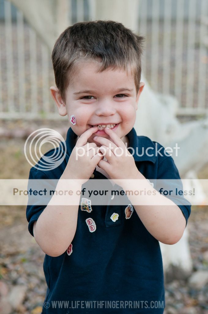  photo 20160211-DSC_5063.jpg