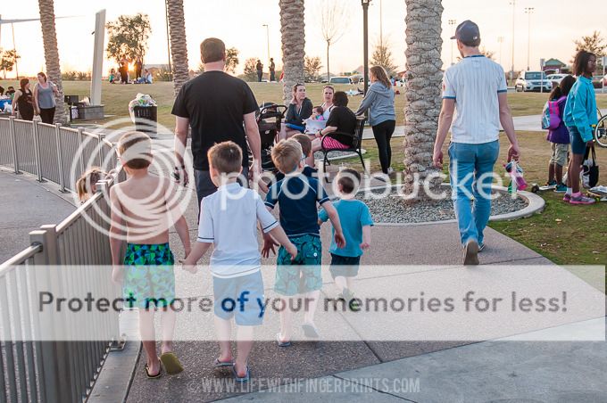 photo 20160227-DSC_5239.jpg