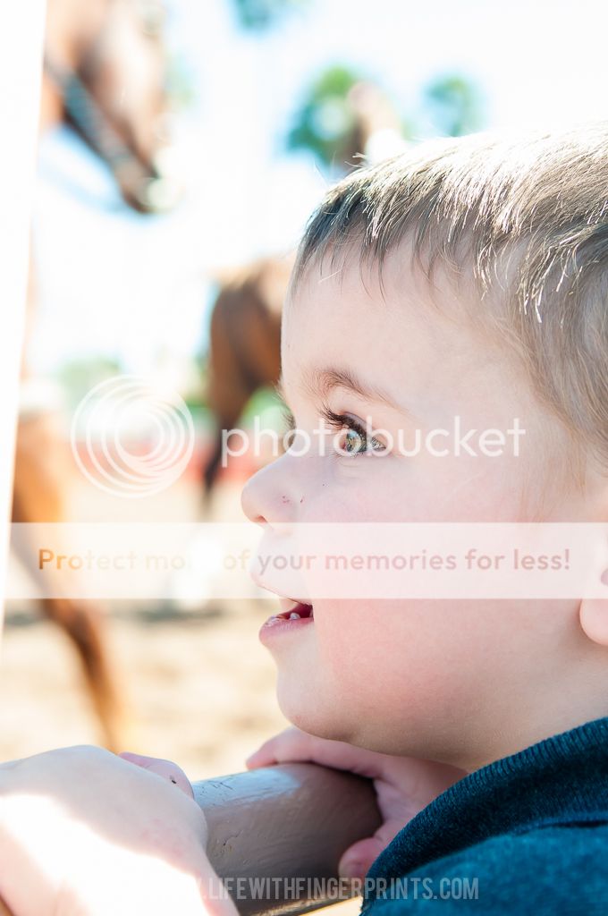 photo LehiDays-6104.jpg