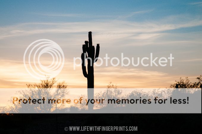 Life with Fingerprints photo LifeWithFingerprints-4446.jpg