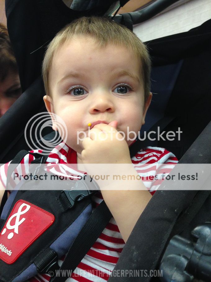 Life with Fingerprints-2668 photo LifewithFingerprints-2668.jpg