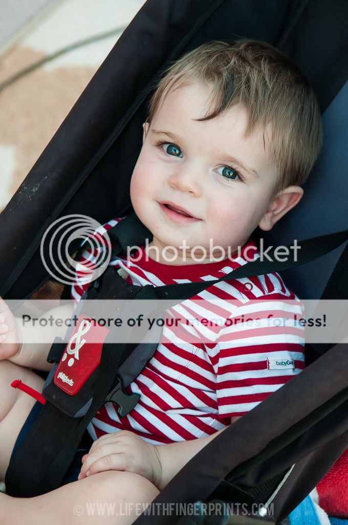 Life with Fingerprints: Family Swim night