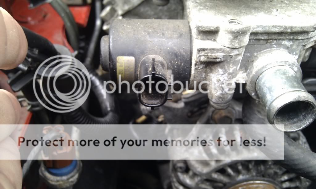 Posted Image