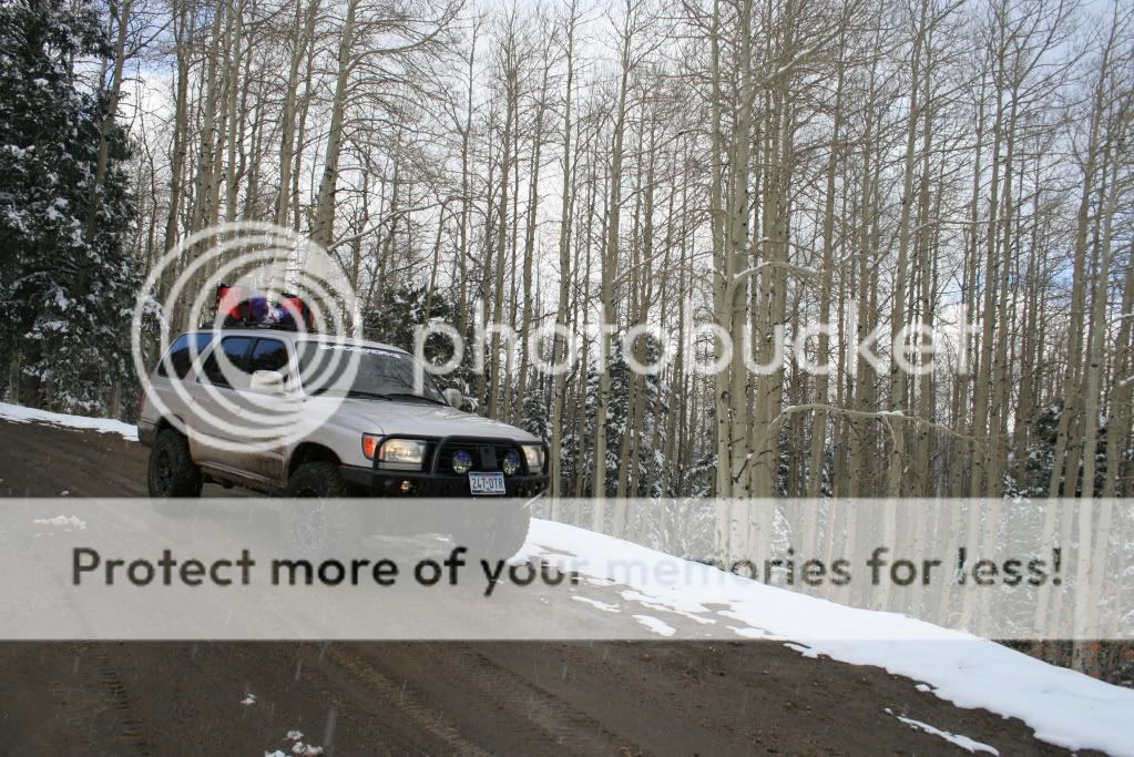 IMG_2723.jpg