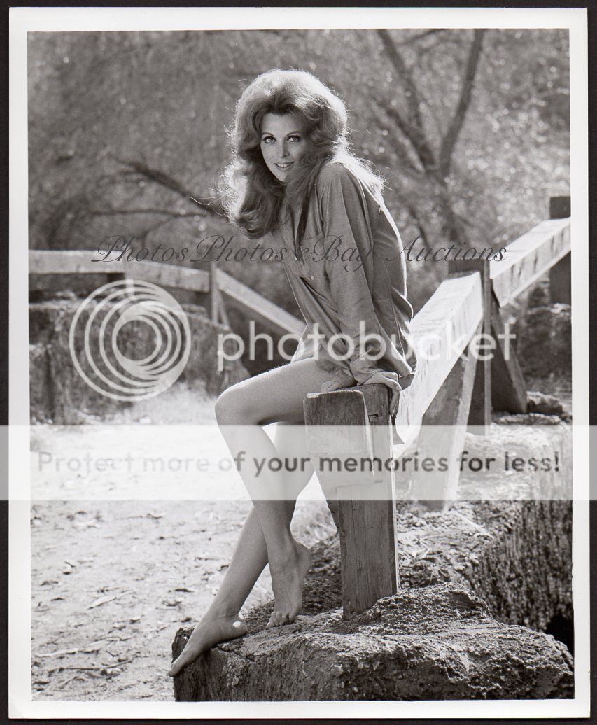 TINA LOUISE sexy leggy actress VINTAGE ORIG PHOTO cheesecake pinup | eBay